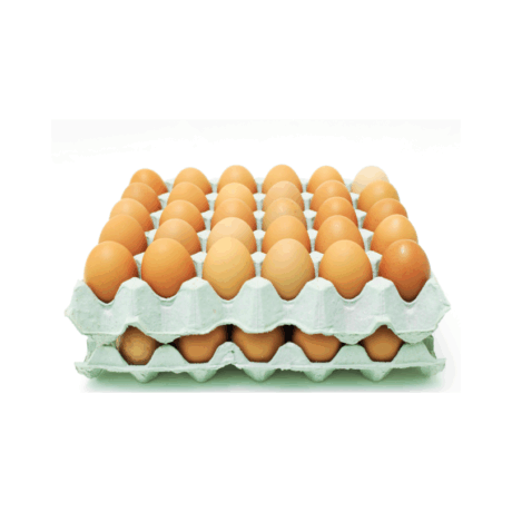 Free Range Eggs - 20 per tray (each)