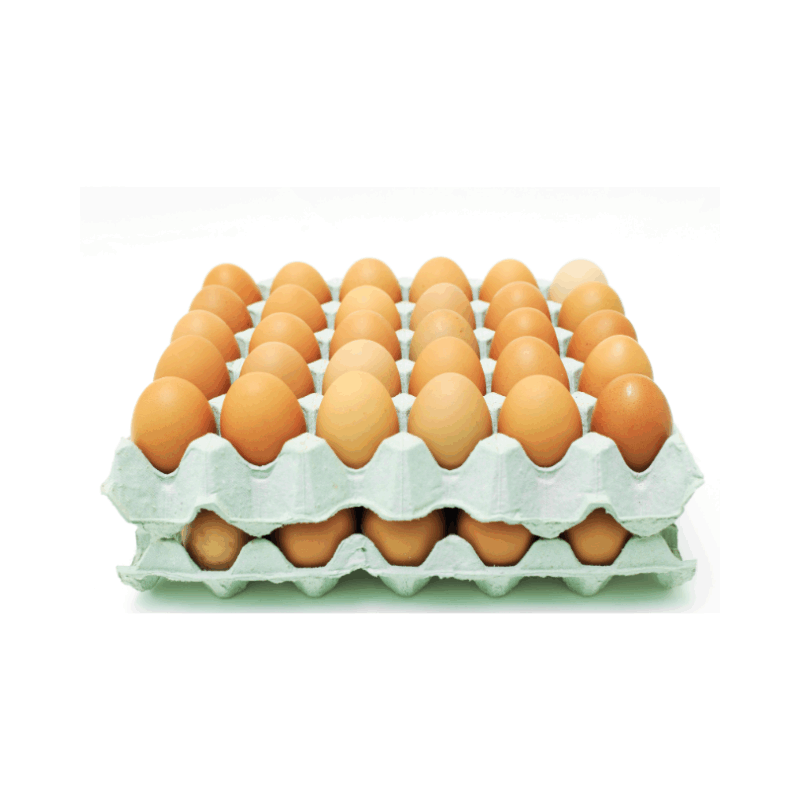 Free Range Eggs - 20 per tray (each)